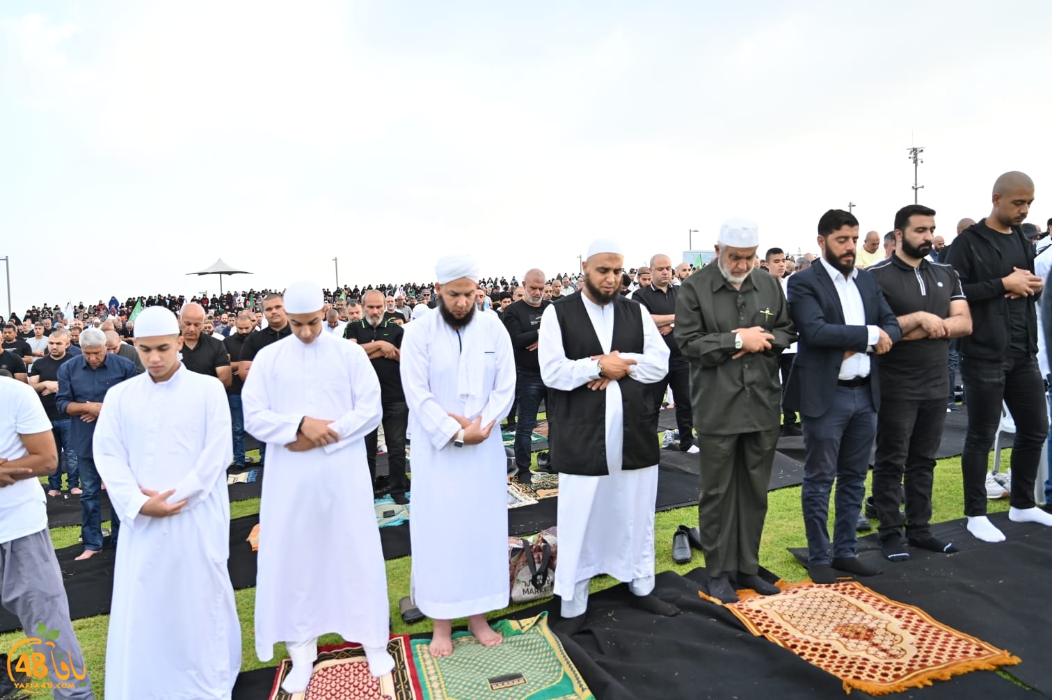 WhatsApp Image 2023-06-28 at 5.41.37 PM.jpeg